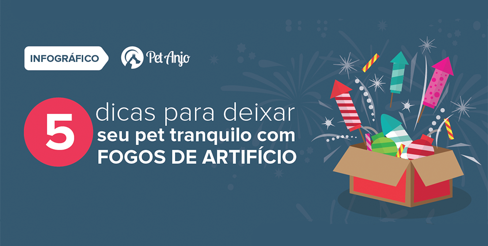 5 dicas para deixar seu pet tranquilo FOGOS DE ARTIFÍCIO