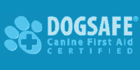dog walker certificado primeiros socorros dog safe
