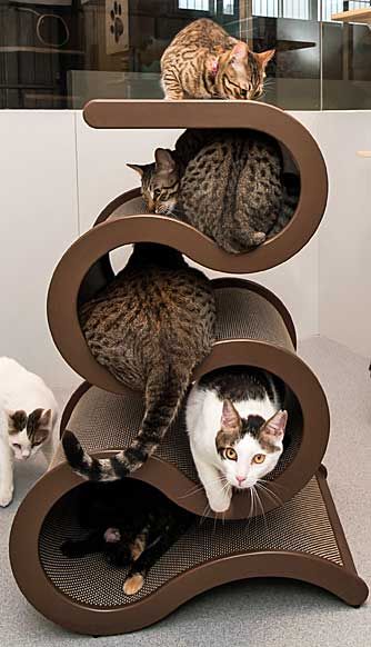 d23d54f0351a39e00c7dcf5edbfa1deb