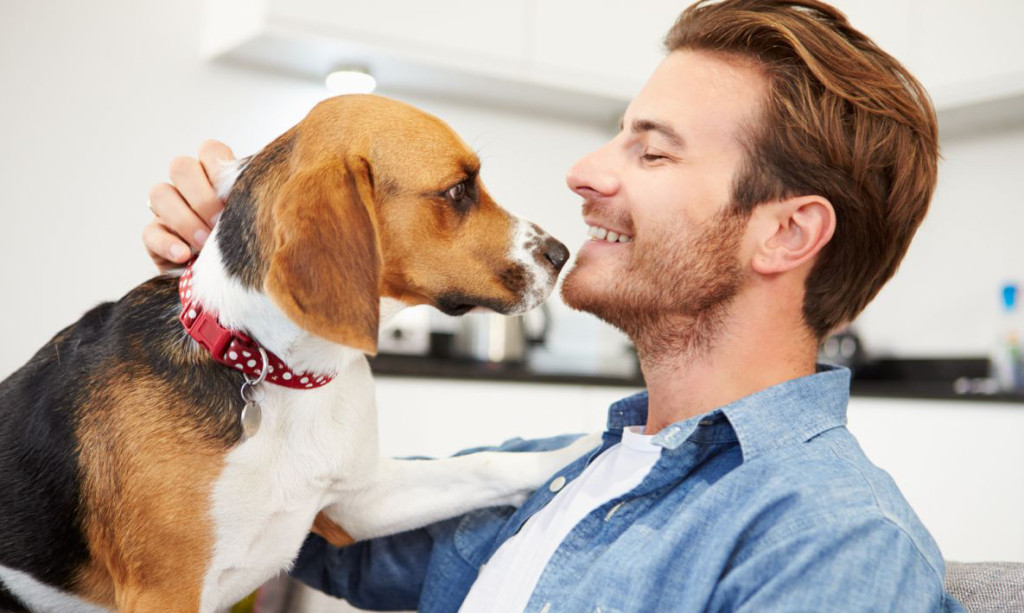 how-to-find-the-perfect-pet-sitter-53637c91175de