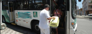dog walker pode levar cachorro e gato no onibus em são paulo