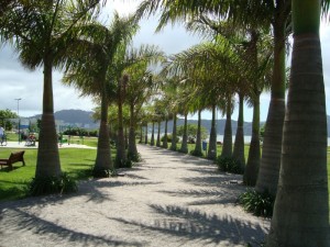 O Parque dos coqueiros é um ótimo lugar para levar o cachorro para dar uma volta