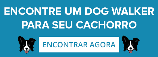 cachorro destrói tudo