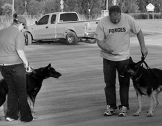 Nunca force a aproximação: seu cachorro tem o tempo dele e tudo dará certo se você respeitar isso.