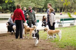 O parque Redenção/Farroupilha é um parque para a família inteira!