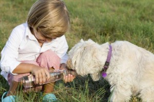 A nova lei tonar realidade a necessidade dos morados de POA que têm cachorros: um lugar só para seus pets.
