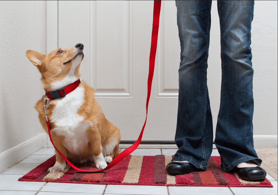 Manter uma rotina regrada de passeios com certeza te ajudará a ter resultados mais rápidos.