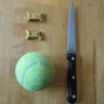 brinquedo inteligente cachorro com bolinha