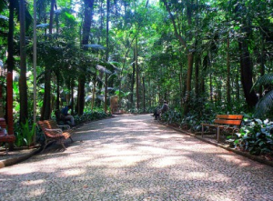 onde passear cachorro sp