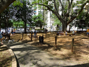 Cachorrodromo da Praça Buenos Aires
