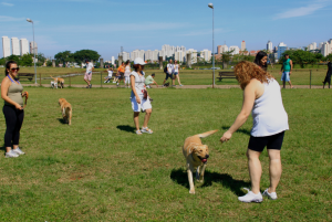 parque villa lobos cachorro
