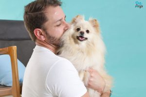 Profissional da Pet Anjo segurando um cachorro da raça Zwergspitz