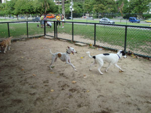 lugares para passear rio de janeiro