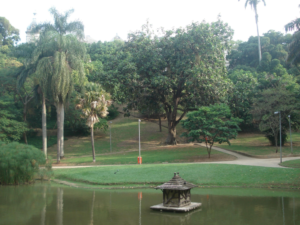 Onde passear cachorro rj