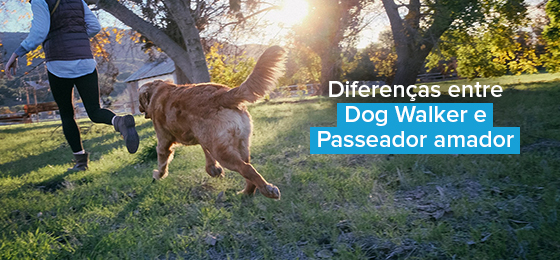 Diferença entre Dog Walker Profissional e Passeador Amador