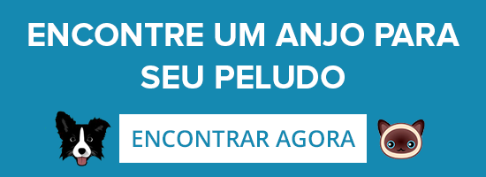 cuidador de cachorro apartamento