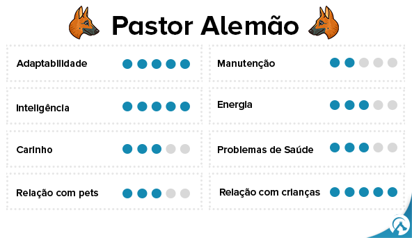 Características Pastor Alemão