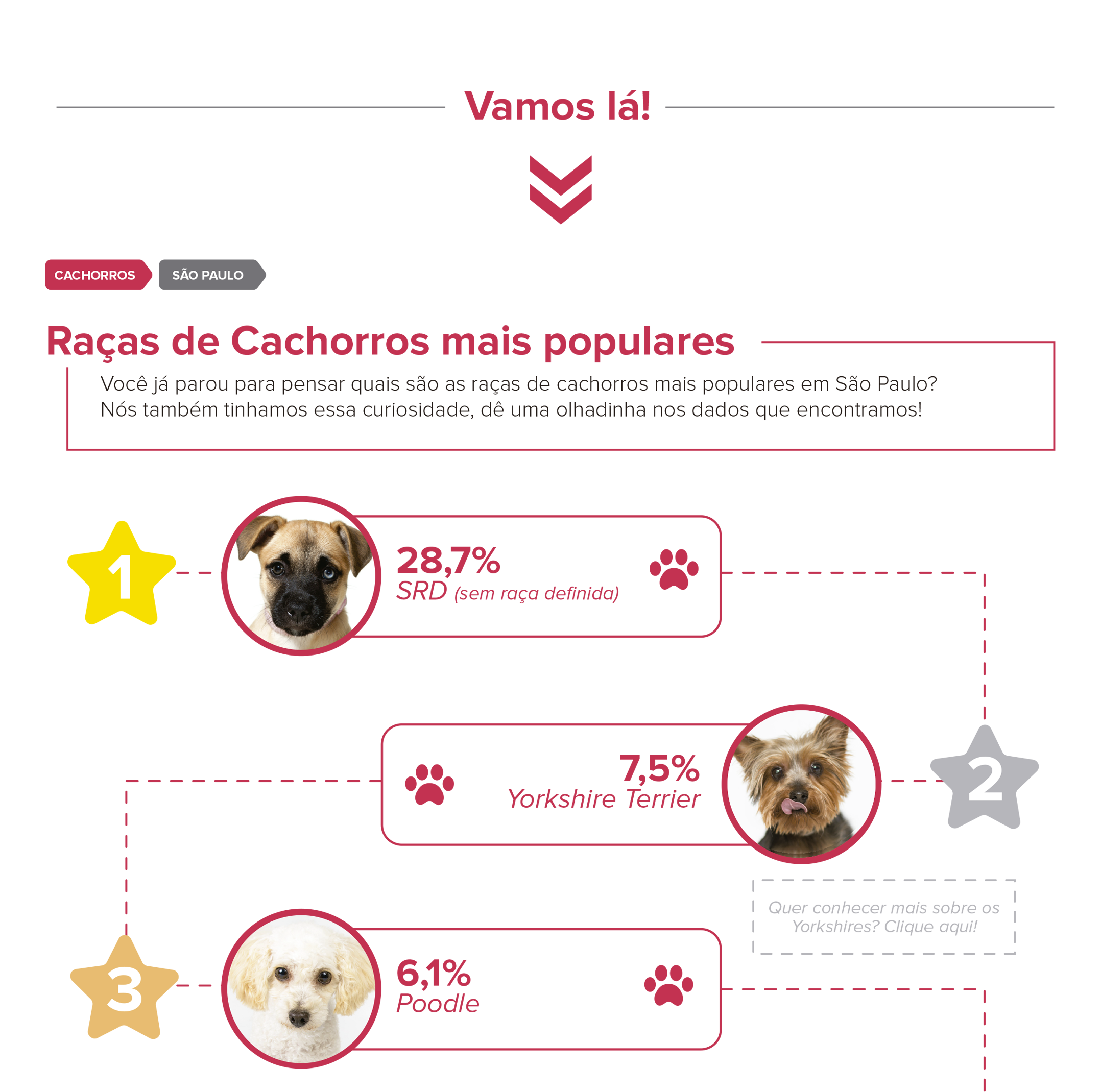 quais são as raças de cachorro mais populares