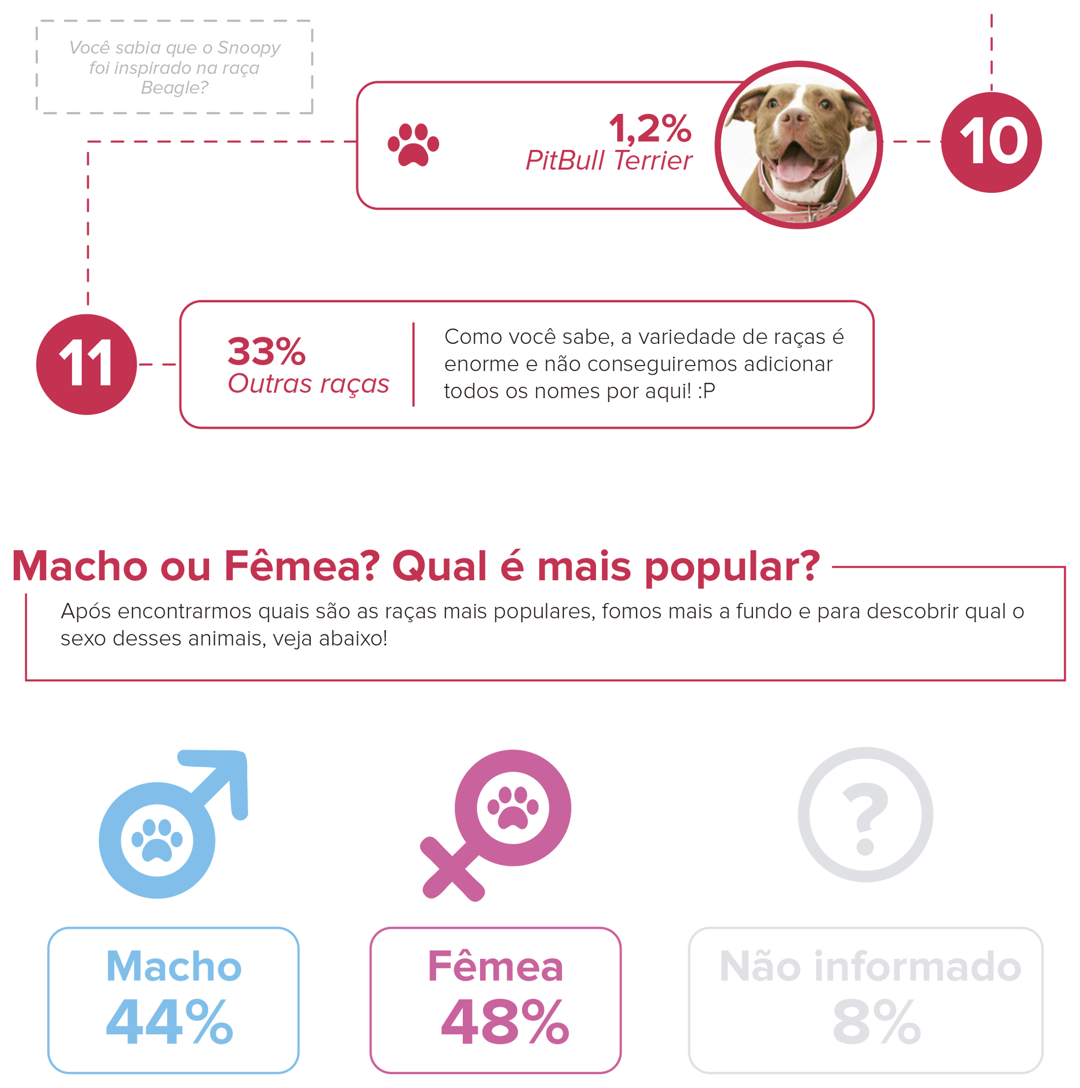a raça beagle é popular