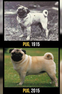 captura-de-tela-2016-12-22-as-15-13-22