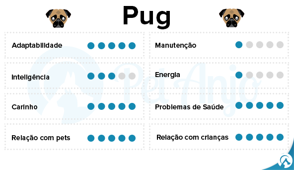 características pug