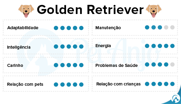 caracteristicas golden retriever