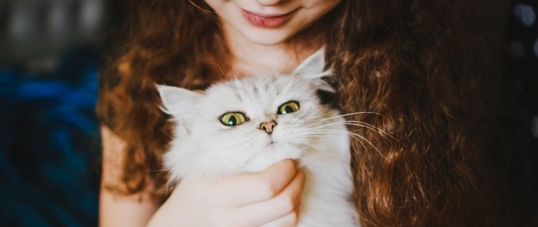 Hotel para gatos, Hotel e Creche Gatinho Feliz