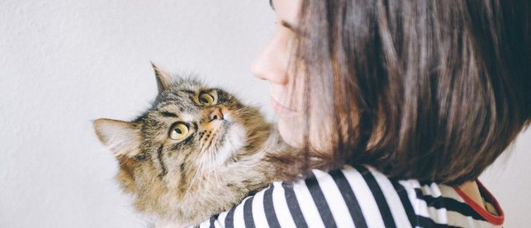 Pet sitter ou hotelzinho: onde deixar o gato quando viajar?