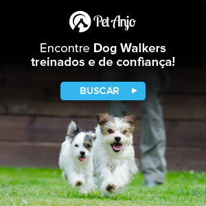 dog-walker-de-confiança-passeando-com-cachorros