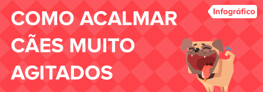 material-educativo-caes-agitados-clique-aqui-dog-walker