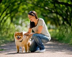 passeador de cães o que tem no kit de um dog walker