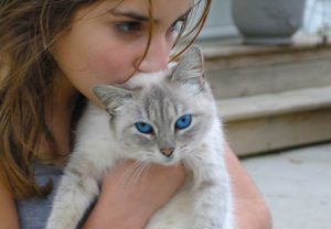 cat sitter como escolher