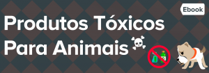 cat sitter banner material educativo produtos toxicos para animais