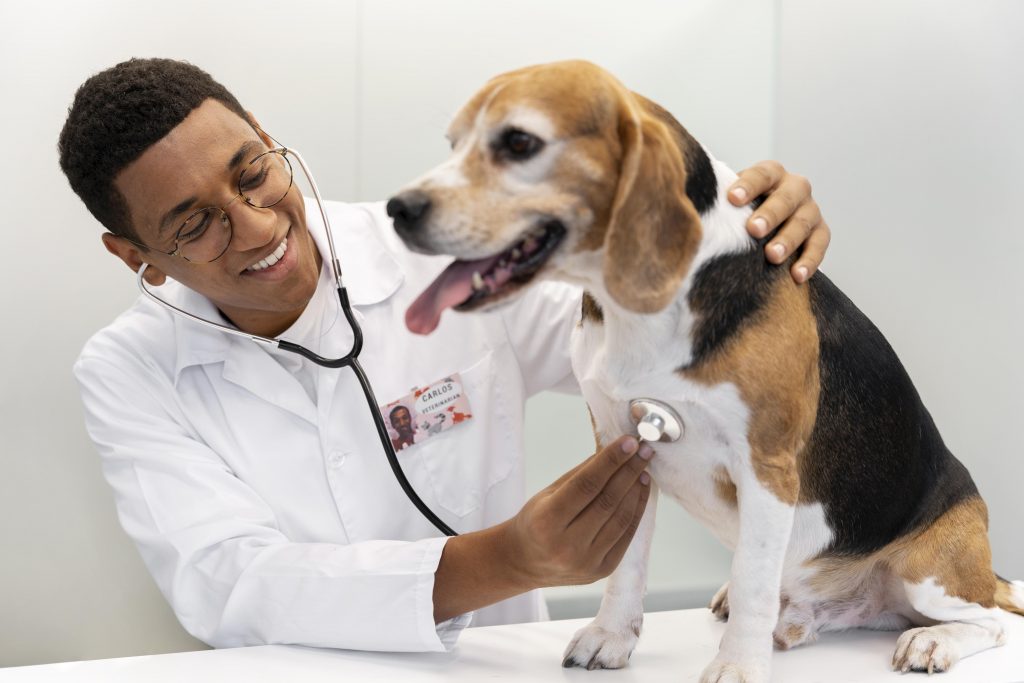 Converse com o médico-veterinário antes de vacinar seu cachorro