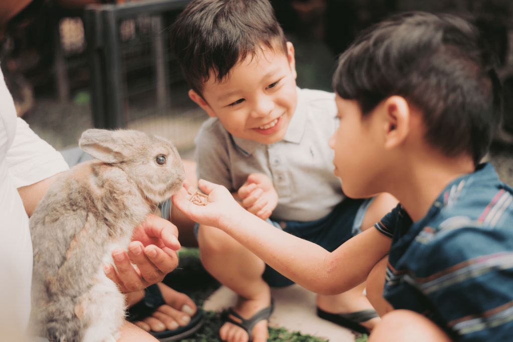 Duas meninos brincando com um coelho