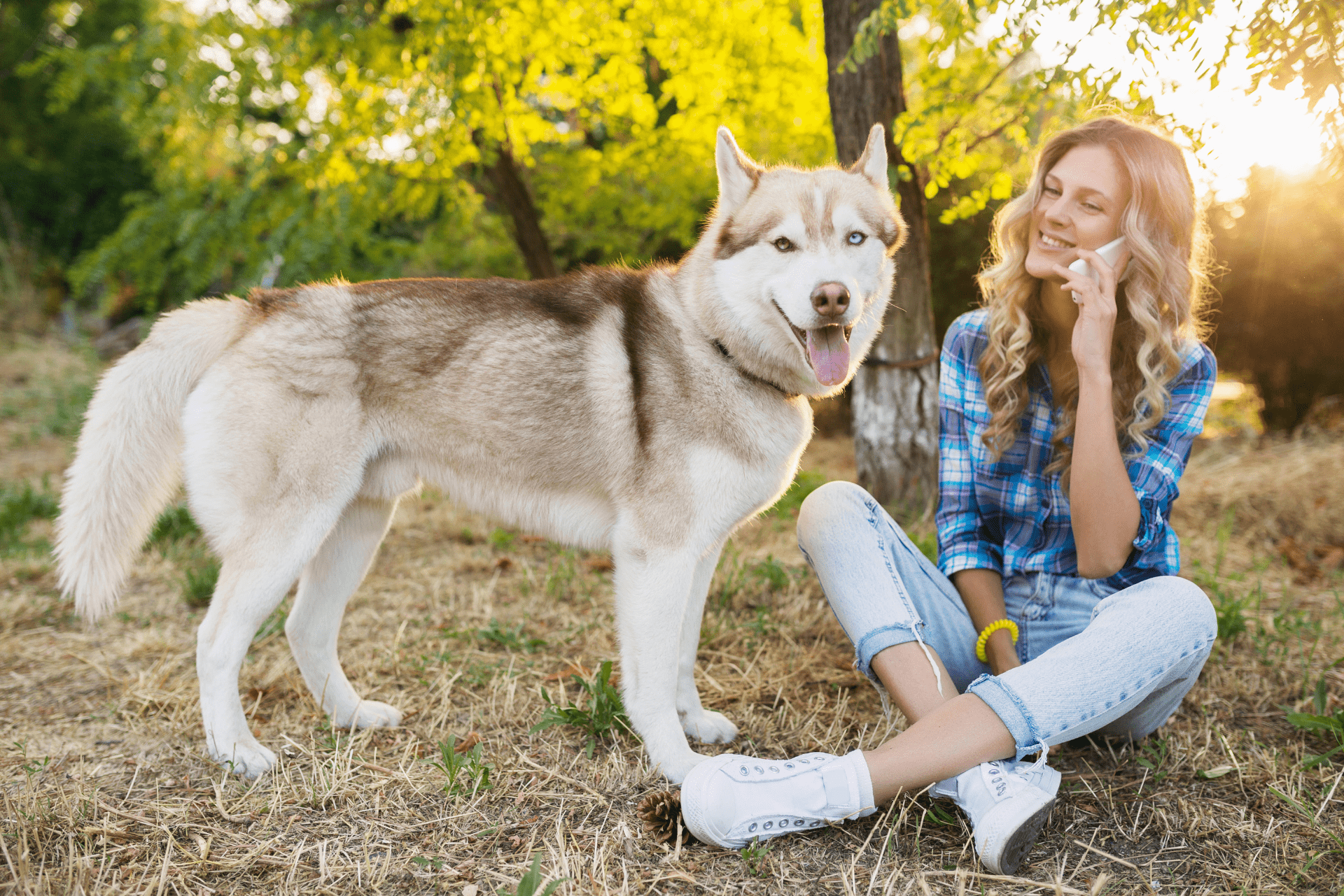 Cachorro Husky siberiano com a sua tutora em um parque