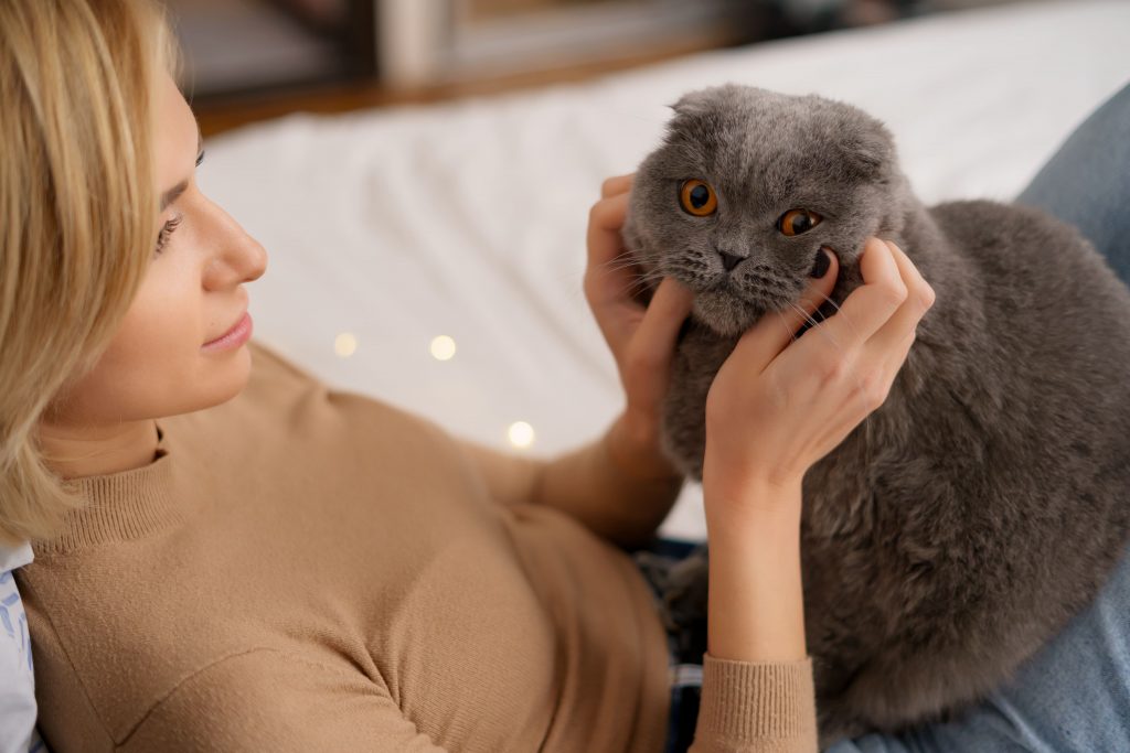 Cuidados com gatos: felino ganhando carinho de sua tutora