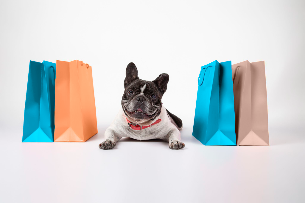 9 dicas para economizar na Black Friday Pet