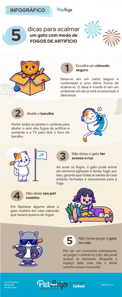 5 dicas para acalmar um gato com medo de fogos