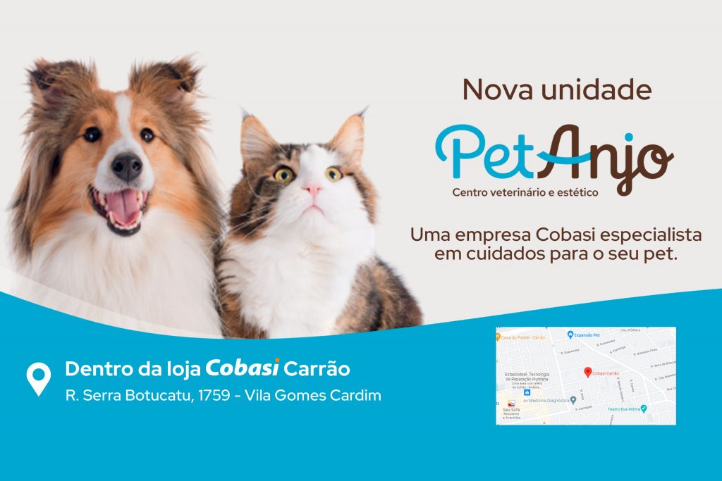 Pet Anjo Carrão: nossa primeira loja física foi inaugurada
