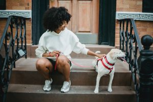 Cão indo viajar com a profissional Dog Walker