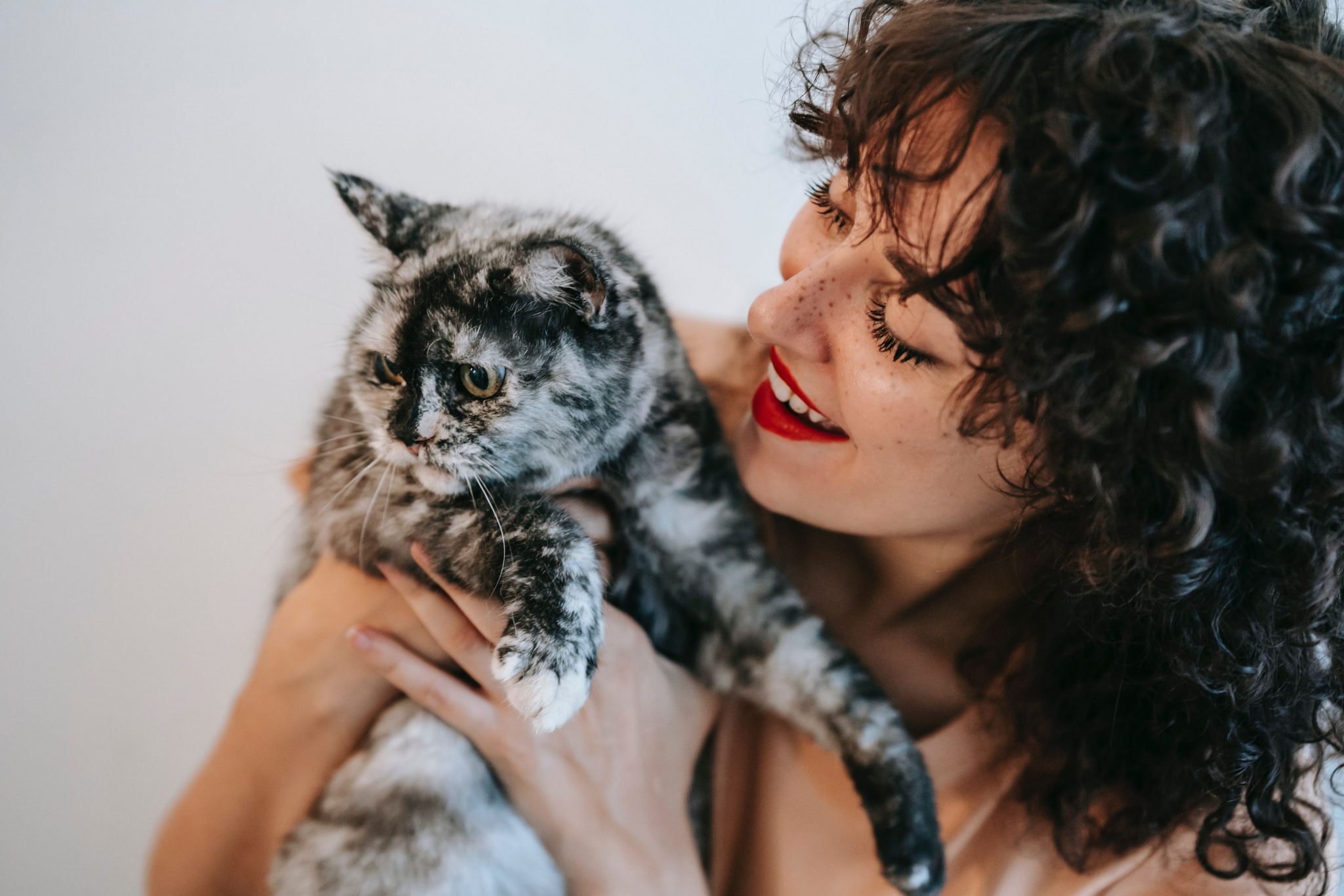 Jogo 6 Apoio De Chopp Linha Cat Presente Para Amantes De Gatos