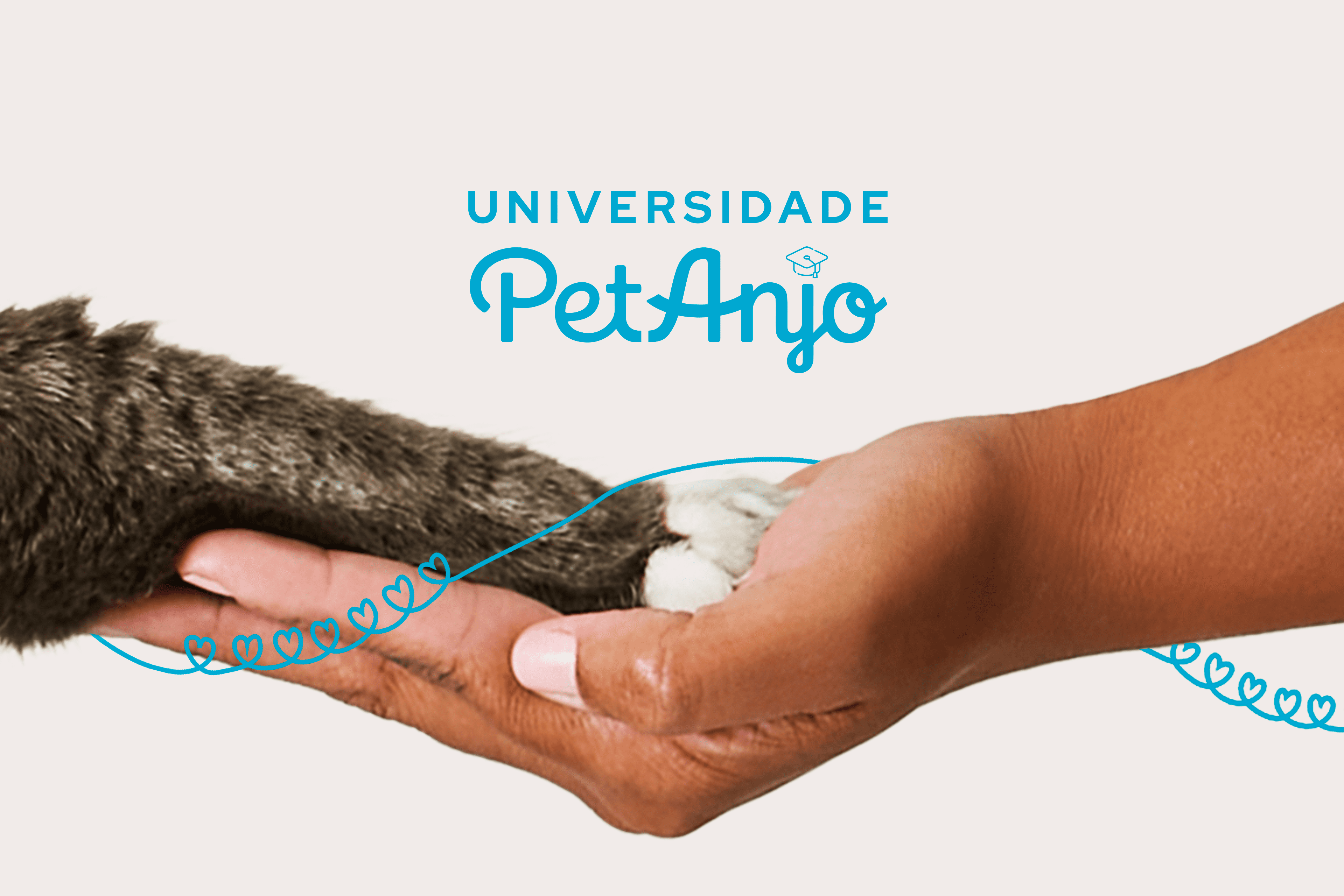 Conheça a Universidade Pet Anjo