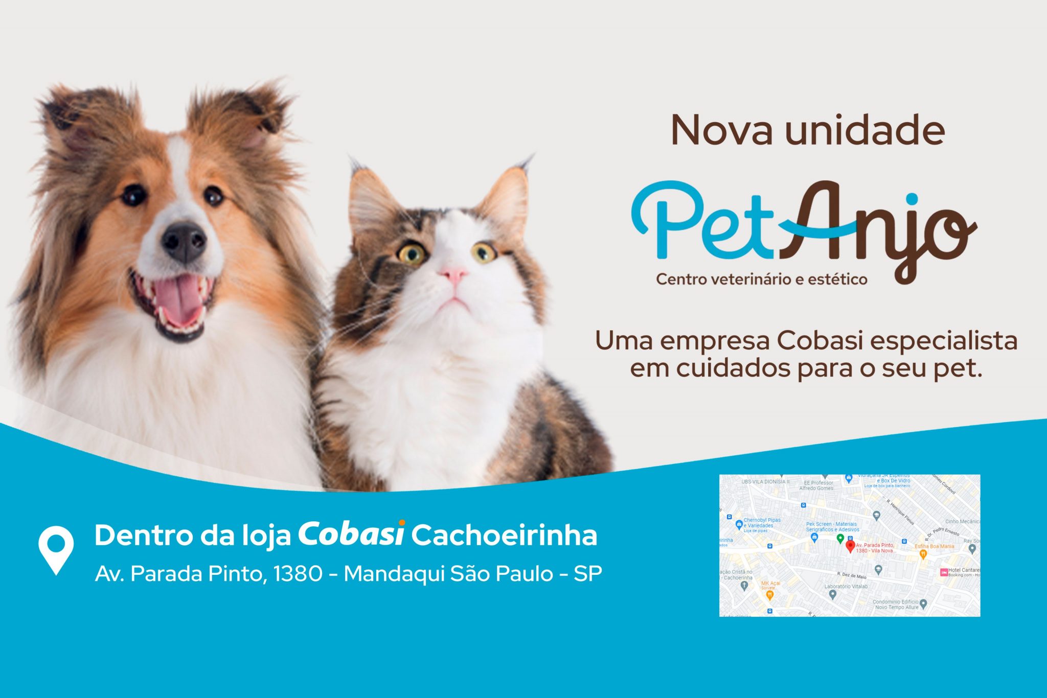 Conheça a Pet Anjo Cachoeirinha
