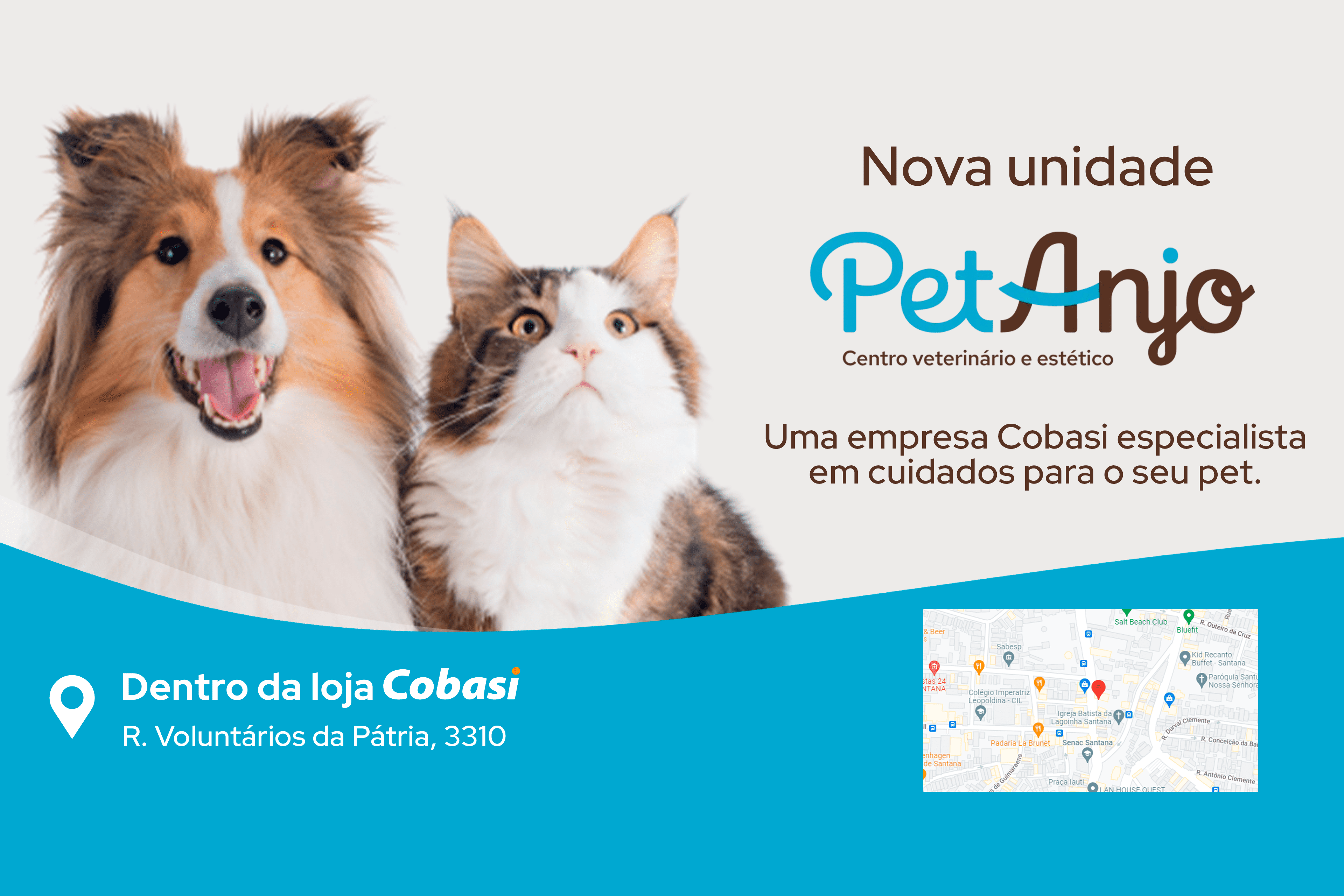 Pet Anjo Santana: centro estético e veterinário