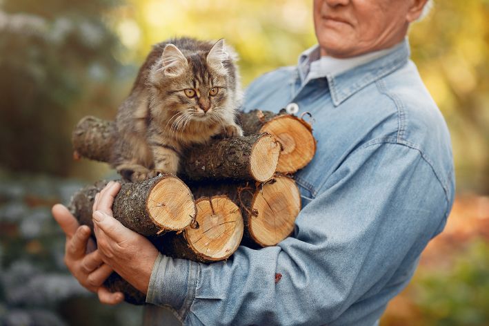Idoso com o seu gato e algumas toras de madeira no braço