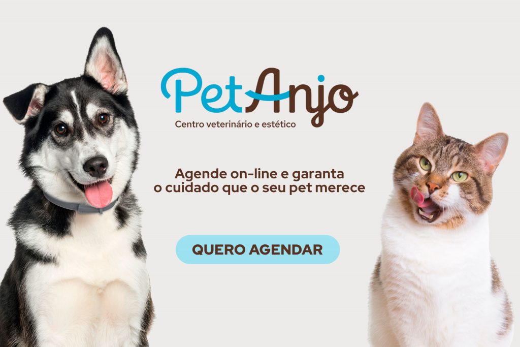 Clique e agende on-line o cuidado que o seu pet precisa