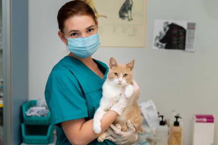 médica-veterinária segurando um gato