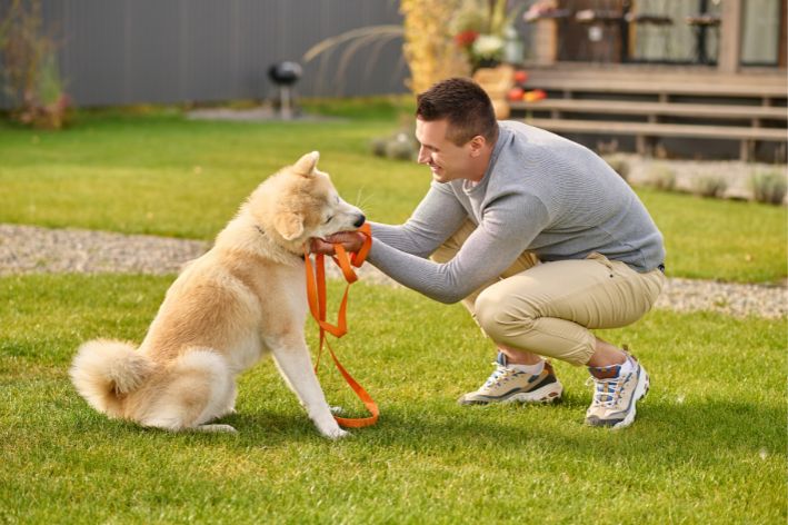 Cachorro em parque com o seu tutor