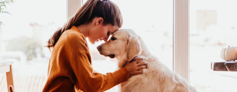 Confira como tratar cachorro com ansiedade de separação